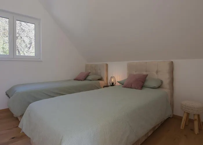 The Valley Queens בובק